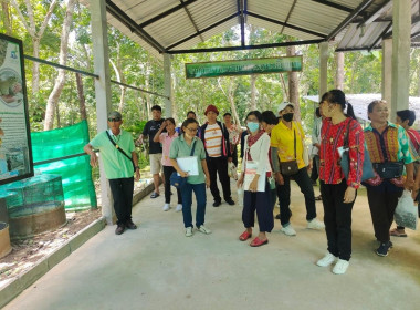 โครงการส่งเสริมและพัฒนาอาชีพเพื่อแก้ไขปัญหาที่ดินทำกินของเกษตรกรประจำปีงบประมาณ พ.ศ.2567 ... Image 14